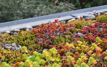 the cost of Bere Ferrers green roof installation