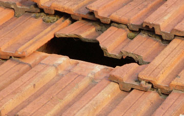 roof repair Bere Ferrers, Devon